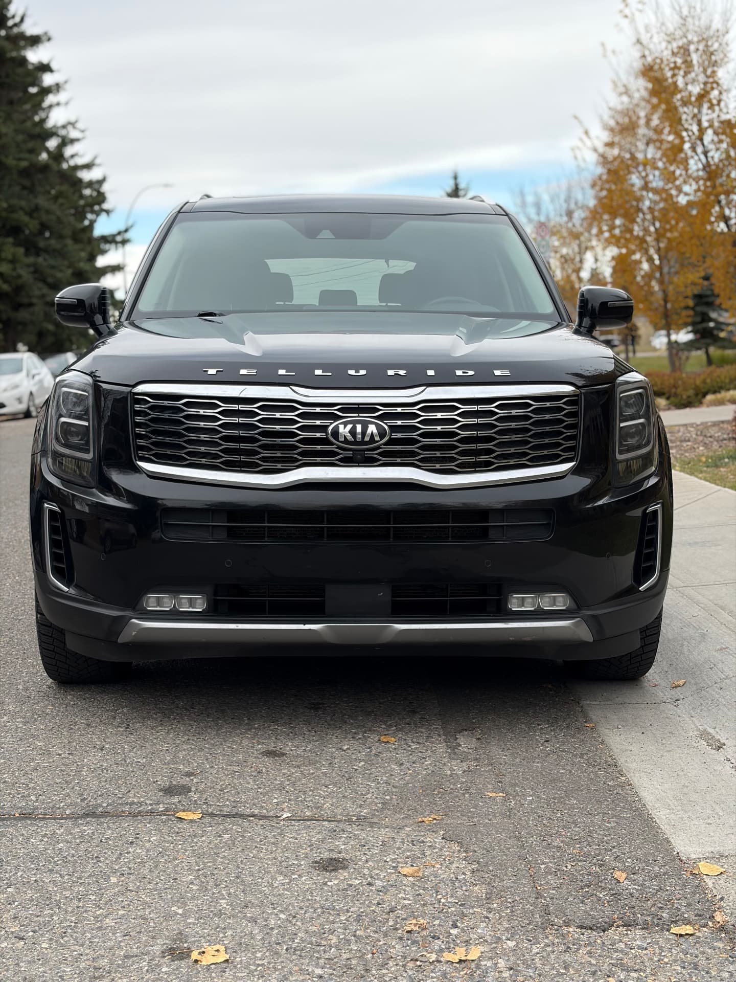 2020 Kia Telluride